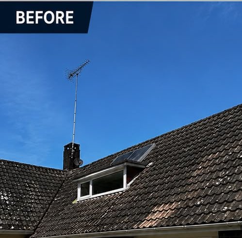 Before, Concrete tile bungalow roof softwash, Roof Cleaning, Dorset – Dorset Exterior Cleaning