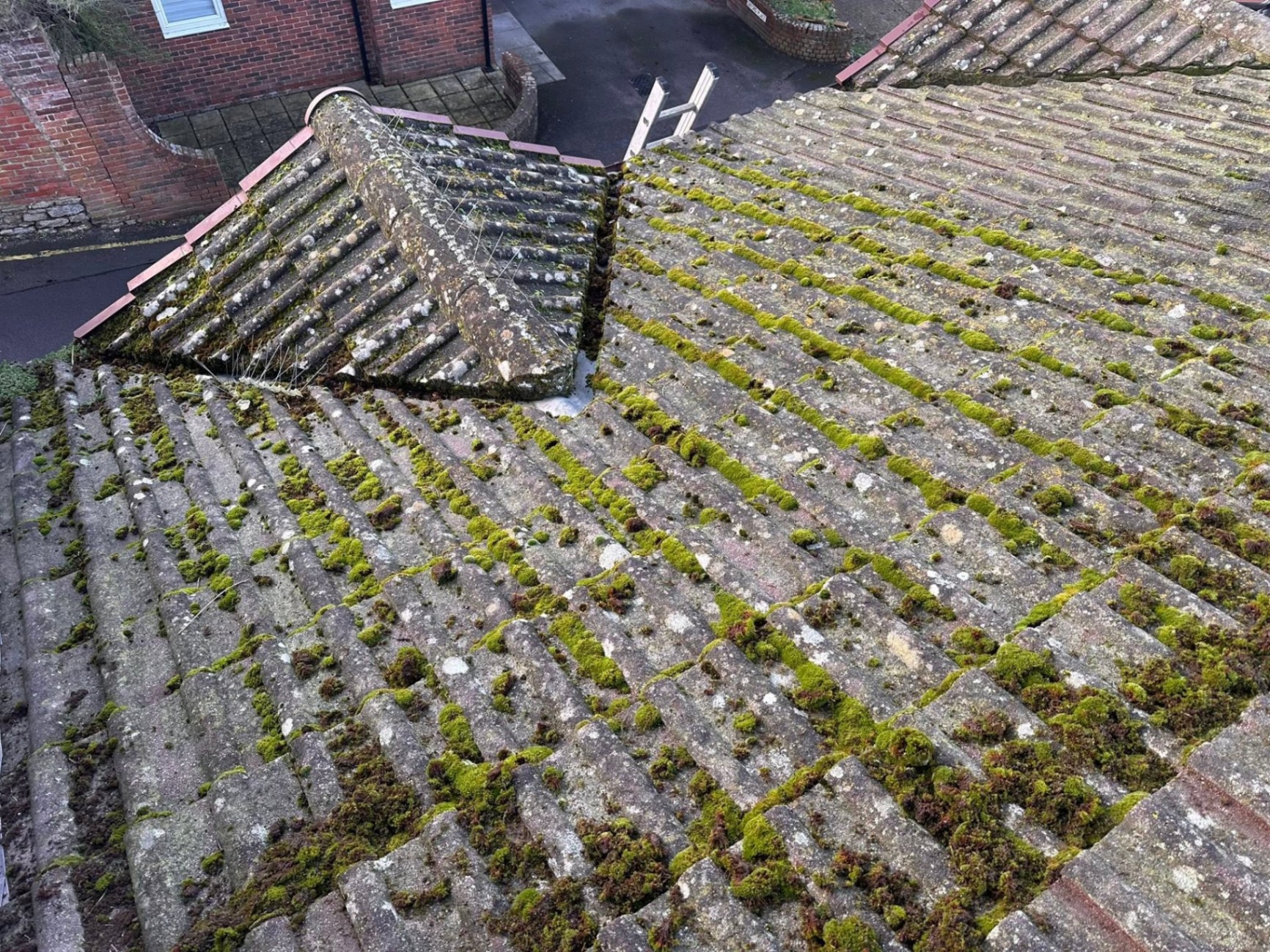 Before, Heavy moss removal, softwashed clean, Roof Cleaning, Dorset – Dorset Exterior Cleaning