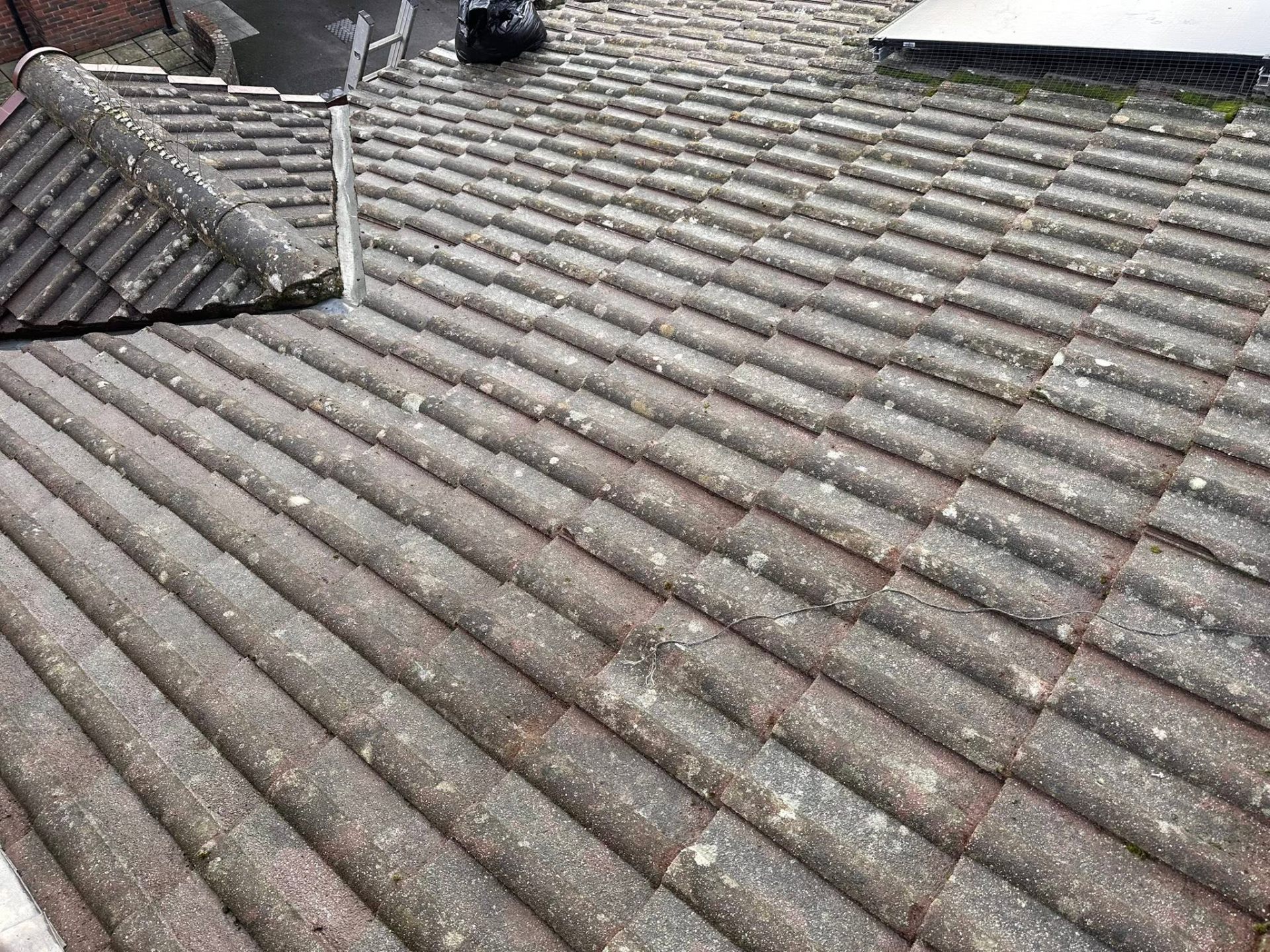 After, Heavy moss removal, softwashed clean, Roof Cleaning, Dorset – Dorset Exterior Cleaning